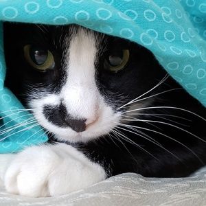 Meet your Posher, Mary